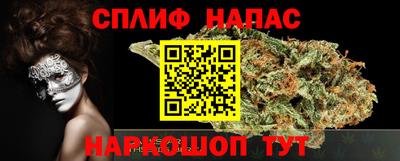 крисы Аша