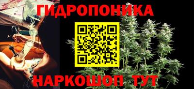 индика Анапа
